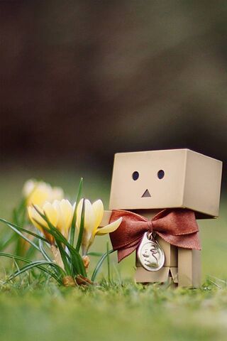 Danboard's Charming Floral Adventure 🌼🎀