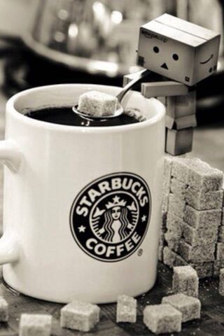 Danbo's Sweet Coffee Adventure ☕️✨