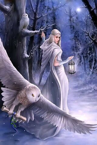Whispers of the Night Owl 🌙🦉