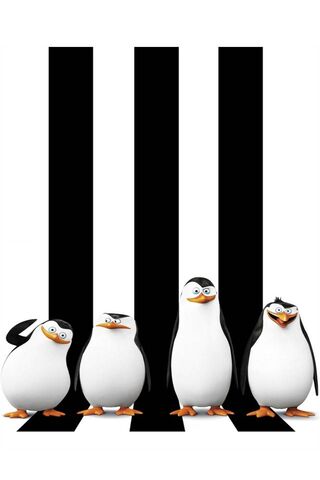 Pingouins Madagascar