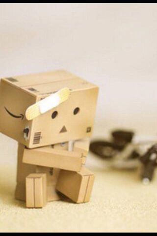 Danbo's Day Out: A Little Adventure
