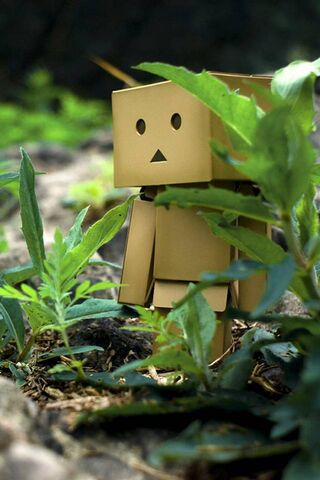 Danboard Green: Nature's Little Explorer 🌿