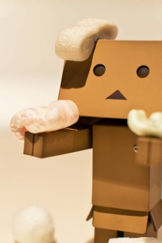 Danboard's Winter Wonde..