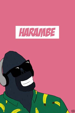 Harambe: The Iconic Gorilla 🌟