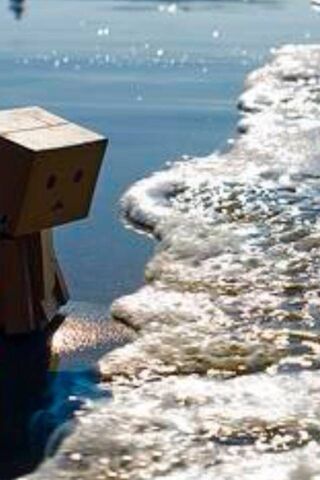 Danbo's Beach Adventure 🌊🤖