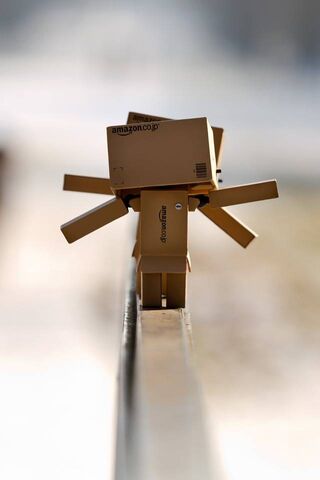 Danbo's Adventurous Stroll 🌟