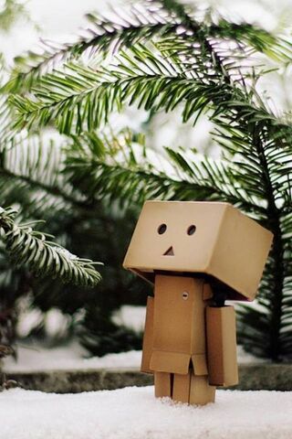 Danbo's Winter Adventure ❄️📦