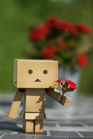 Danbo's Floral Adventure 🌼