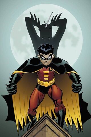 Robin I4 Wallpaper - Download to your mobile from PHONEKY