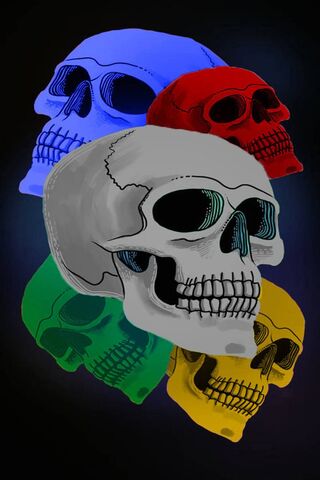 Colorful Craniums: A Vibrant Take on the Skull