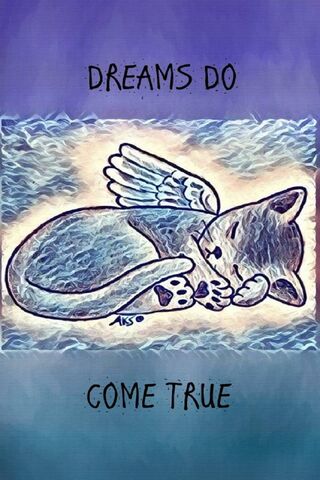 Whiskers of Wonder: A Dreamy Cat Adventure 🌙🐾