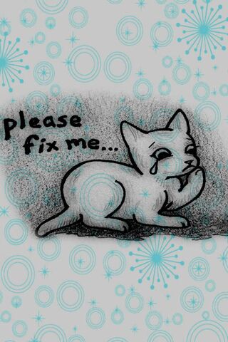 Please Fix Me Cat