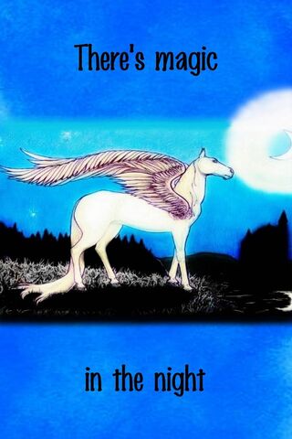 Pegasus Night Magic