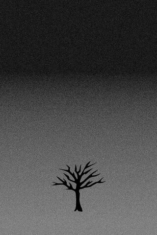 Echoes of X: A Tree of Reflection 🌳✨