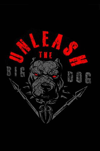 Unleash The Big Dog
