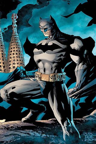 The Dark Knight Rises: A Hero's Vigil
