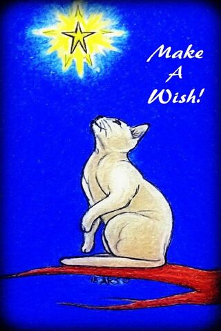 Dreaming Under the Stars 🌟🐱