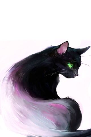 Mystical Whiskers: The ..