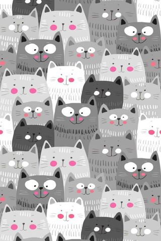 Whiskered Wonders: A Fe..