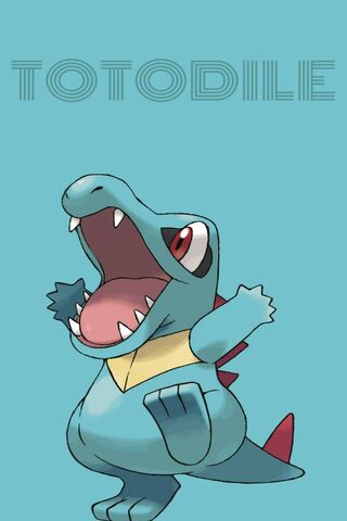 HD wallpaper Pokemon totodile and squirtle Pokémon water play  waterfall  Wallpaper Flare