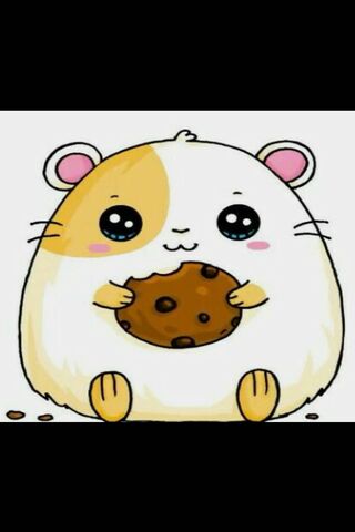 Hamster Eating Cute