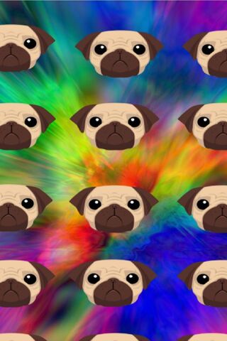 Pug Paradise: A Colorful Canine Celebration! 🐾🌈