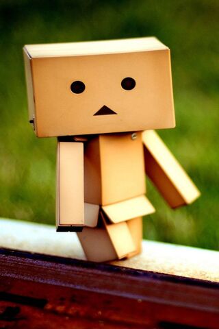 Dando's Adventure in the Great Outdoors 🌿📦