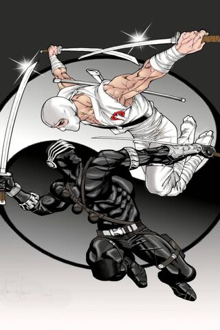 Battle of Balance: G.I. Joe's Yin-Yang Showdown ⚔️⚪⚫