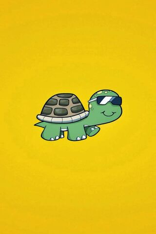 Chillin' Turtle Vibes �..