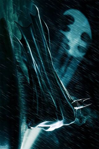 Shadows of the Night