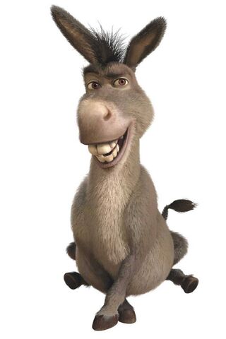 Donkey In Sherk