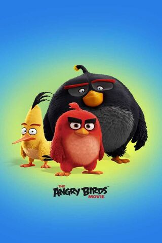 Feathers of Fury: The Angry Birds Unite! 🐦💥