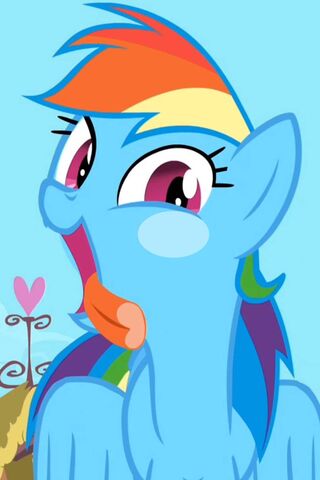 Rainbow Dash: The Equestrian Speedster! 🌈💨