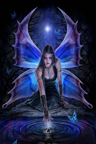 Mystical Reflections: The Enchanted Fairy