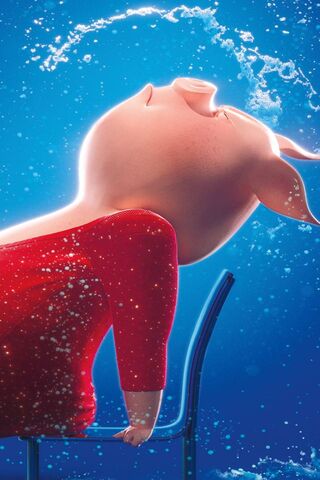 Dive into the Spotlight! 🌟🐷