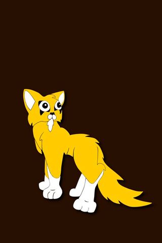 The Quirky Charm of Spiked Cat 🐾✨