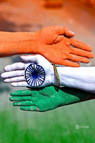 Unity in Diversity: Cel..