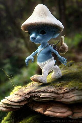 Whimsical Wanderer: The..
