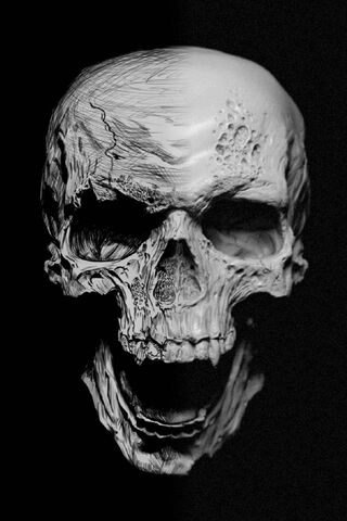 Echoes of the Crossover Skull: A Haunting Reflection