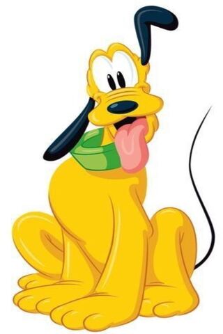 Pluto: The Playful Pooc..