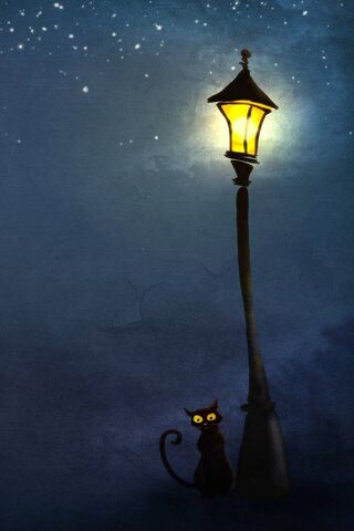 Whiskers Under the Streetlight 🌙🐾