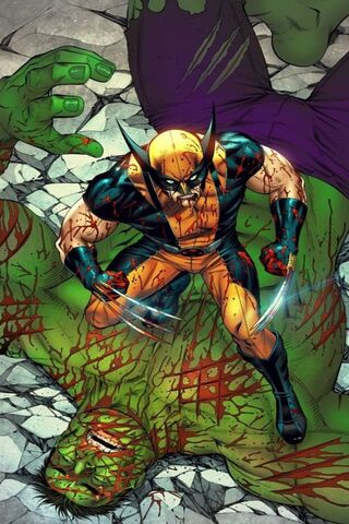 Clash of Titans: Wolverine vs. Hulk 🐾💥