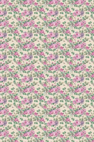 Timeless Elegance: Vintage Pink Roses 🌹✨