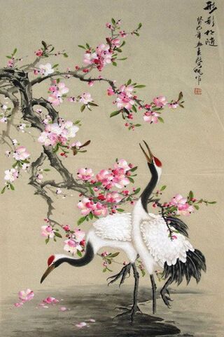 Harmony of Cranes and Blossoms 🌸🦩