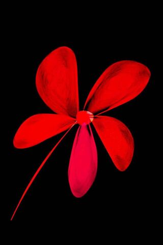 Red Flower