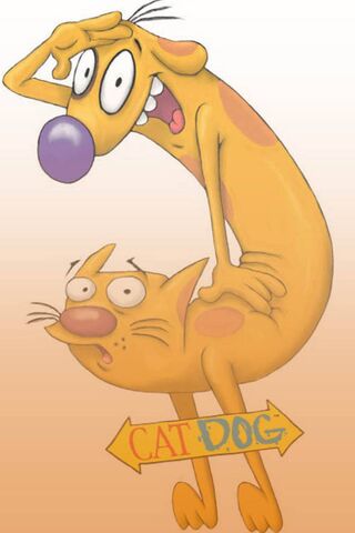 The Unlikely Duo: CatDog Adventures! 🐾
