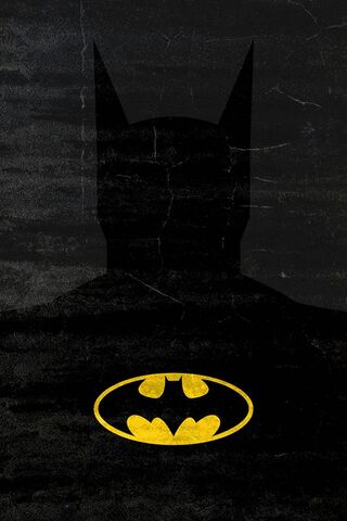 The Dark Knight's Shado..