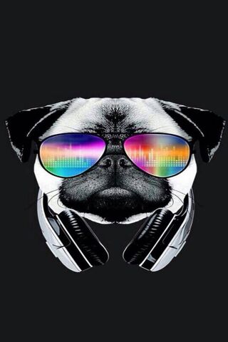 Pawesome Beats 🎧🐶