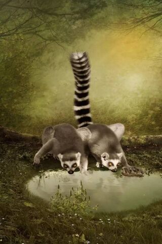 Refreshing Moments in Nature 🌿💧