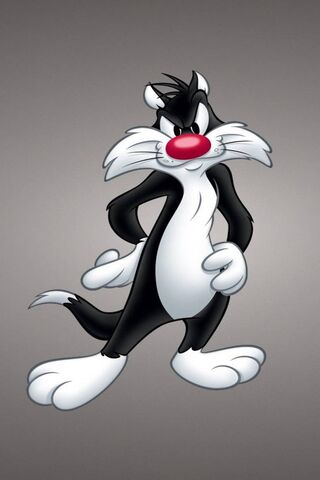 Sylvester the Sneaky Cat 🐱✨
